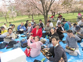 お花見会